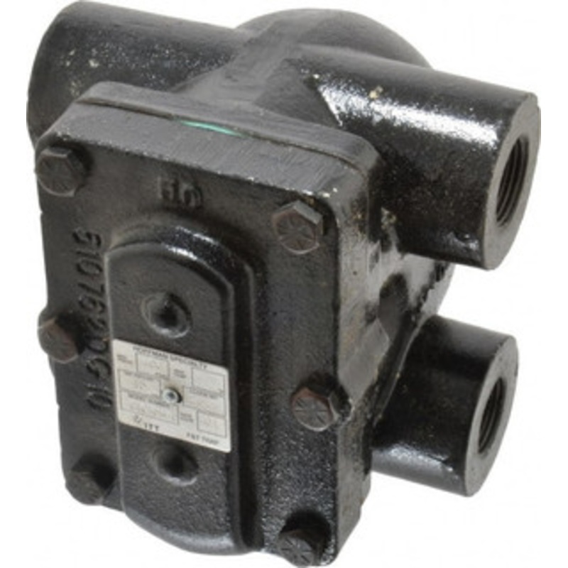 Hoffman Specialty 3/4 Female Pipe, Cast Iron Float & Thermostatic Steam Trap 15 Max psi 404200 – 07499718