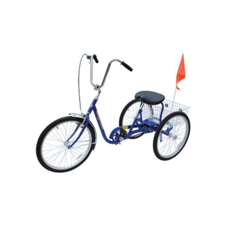 Standard Industrial Bicycle, 250 lb., Blue