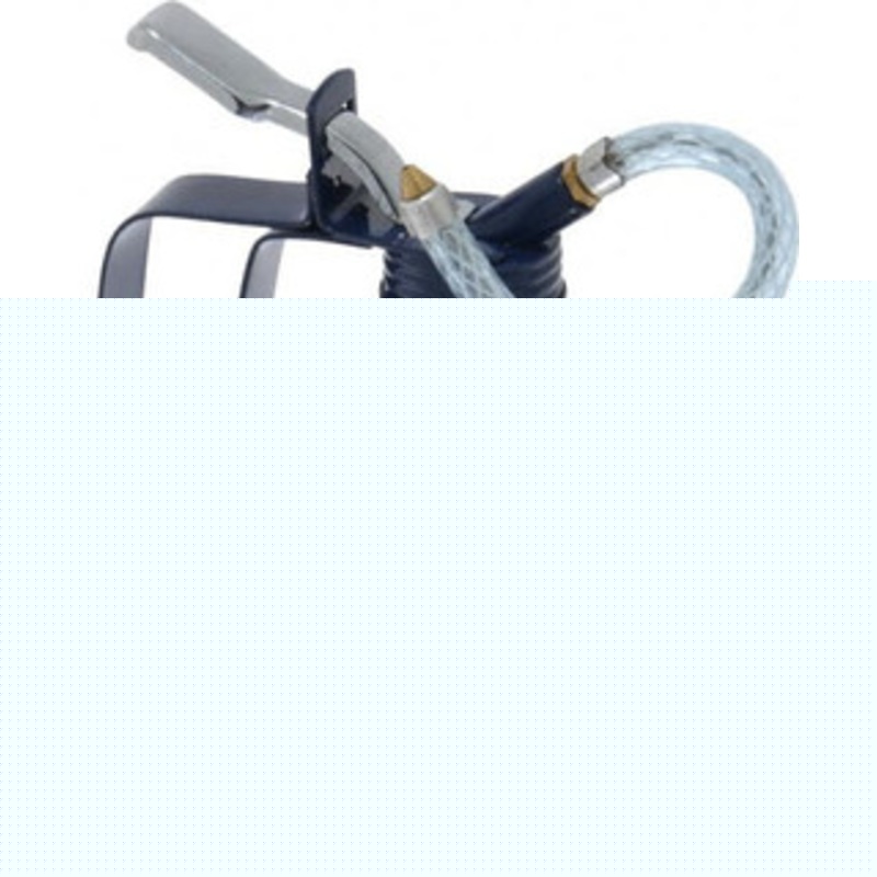 PROLUBE 200 mL Capcity, 6 Long Flexible Spout, Lever-Type Oiler Brass Pump, Steel Body, Powder Coated MP21RB/F – 01057413