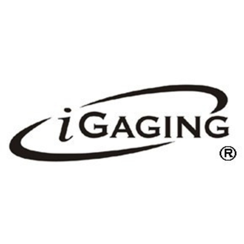 iGaging IP54 0-1 Shockproof Dial Indicator – IGW-001